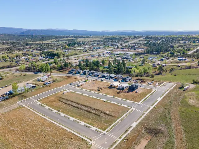 Aerial view of Elevation Park, Durango CO - photo 53